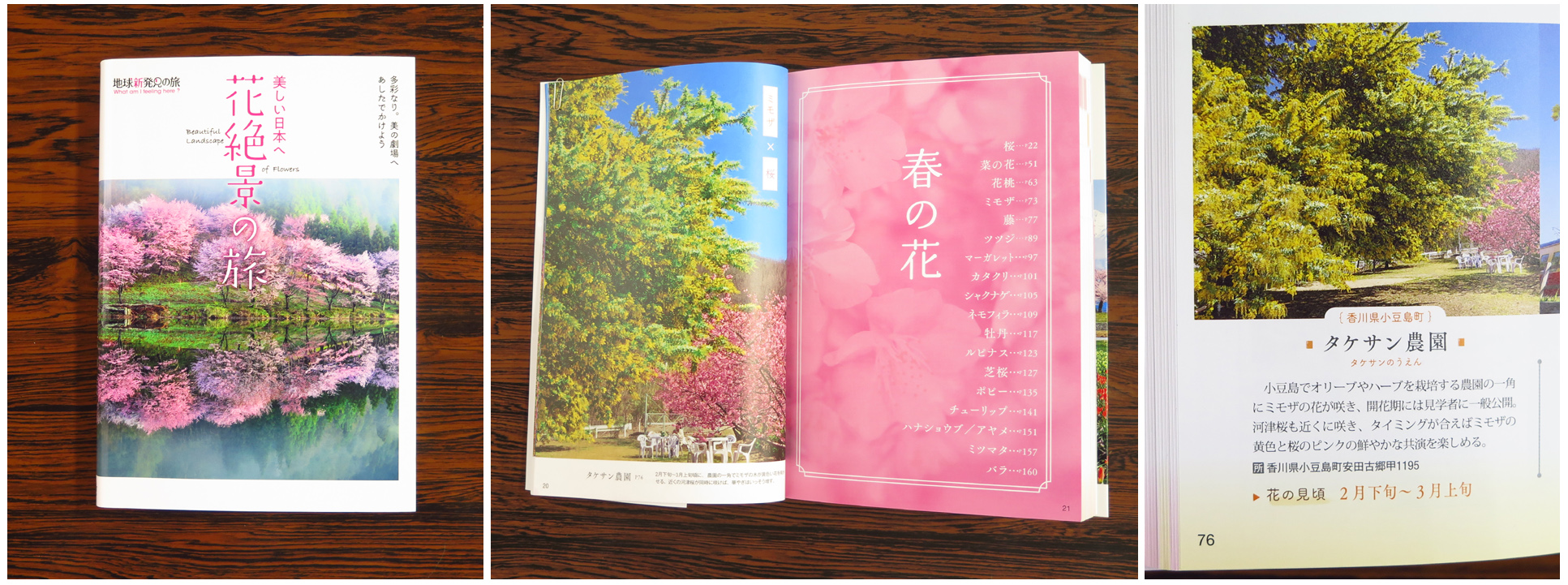 花絶景の旅